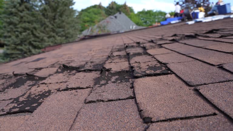 Best Sheet Metal Roofing  in Crosspointe, VA