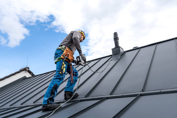Best Solar Panel Roofing Installation  in Crosspointe, VA